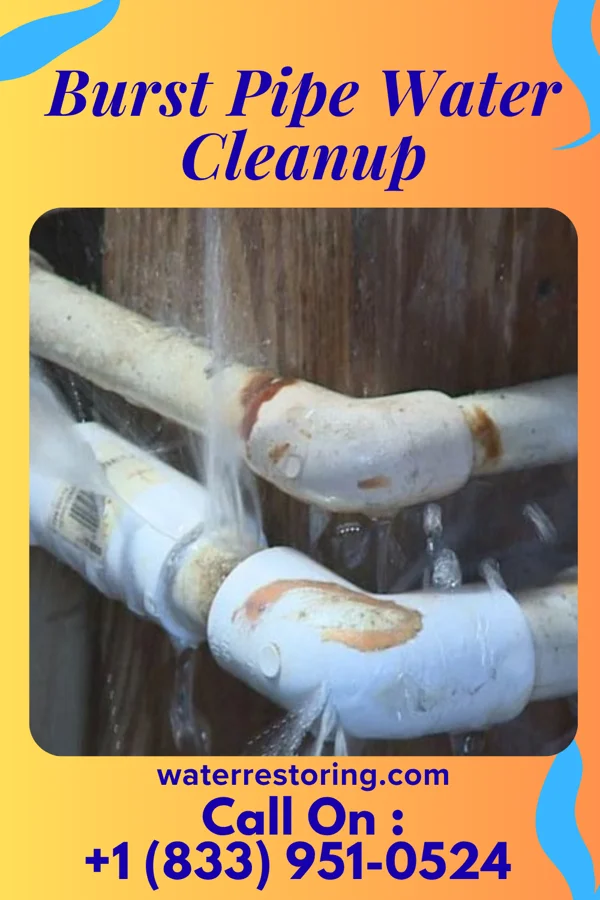 Burst Pipe Water Cleanup in Huntersville, WV