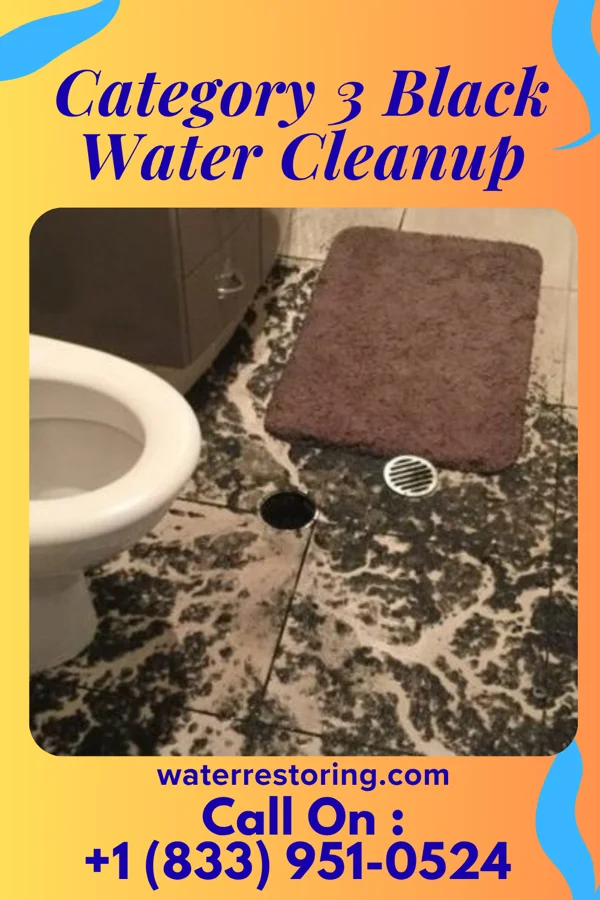 Category 3 Black Water Cleanup in Huntersville, WV