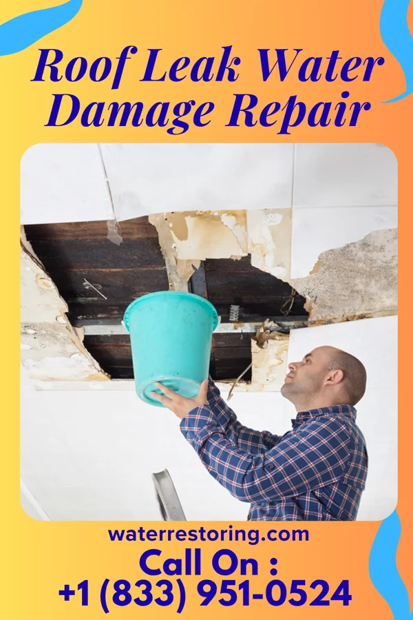 Roof Leak Water Damage Repair in Huntersville, WV