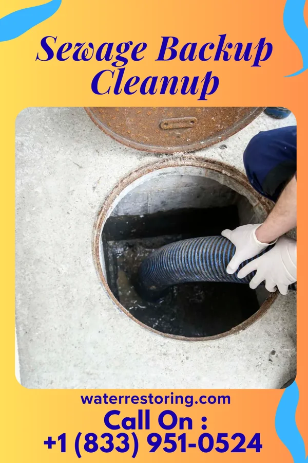 Sewage Backup Cleanup in Huntersville, WV