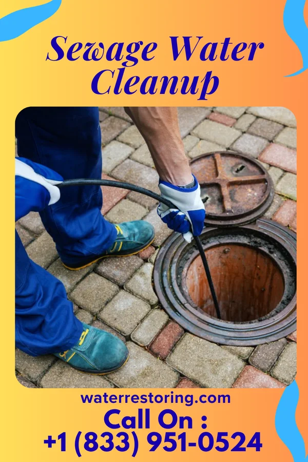 Sewage Water Cleanup in Huntersville, WV